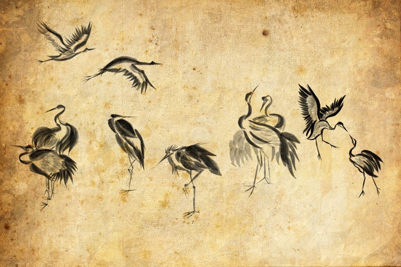 Sumi-e Ink - Procreate Brush Set - Image 6