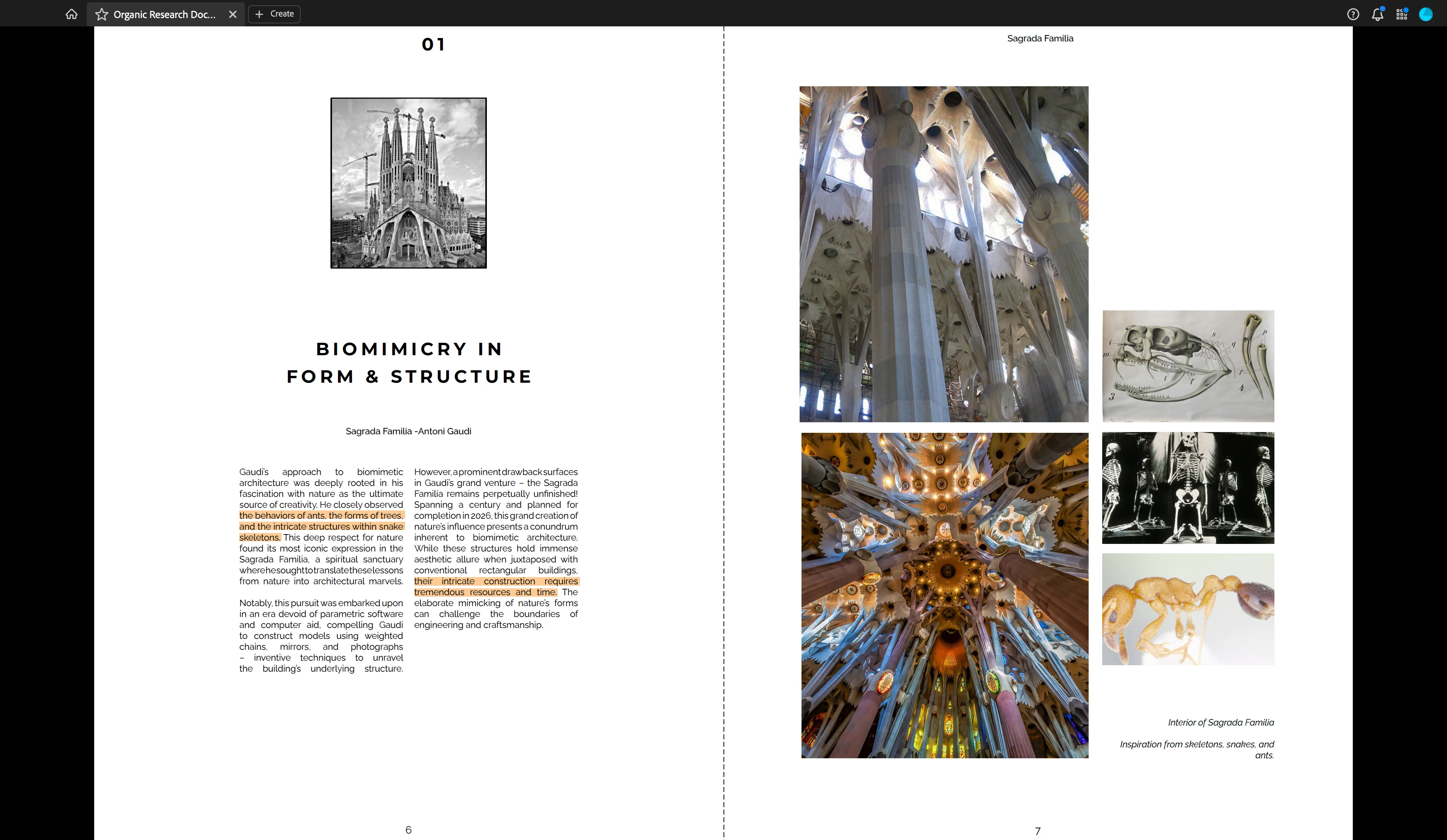 'Biomimicry: Hoax or Genius?' Research Booklet - Image 3
