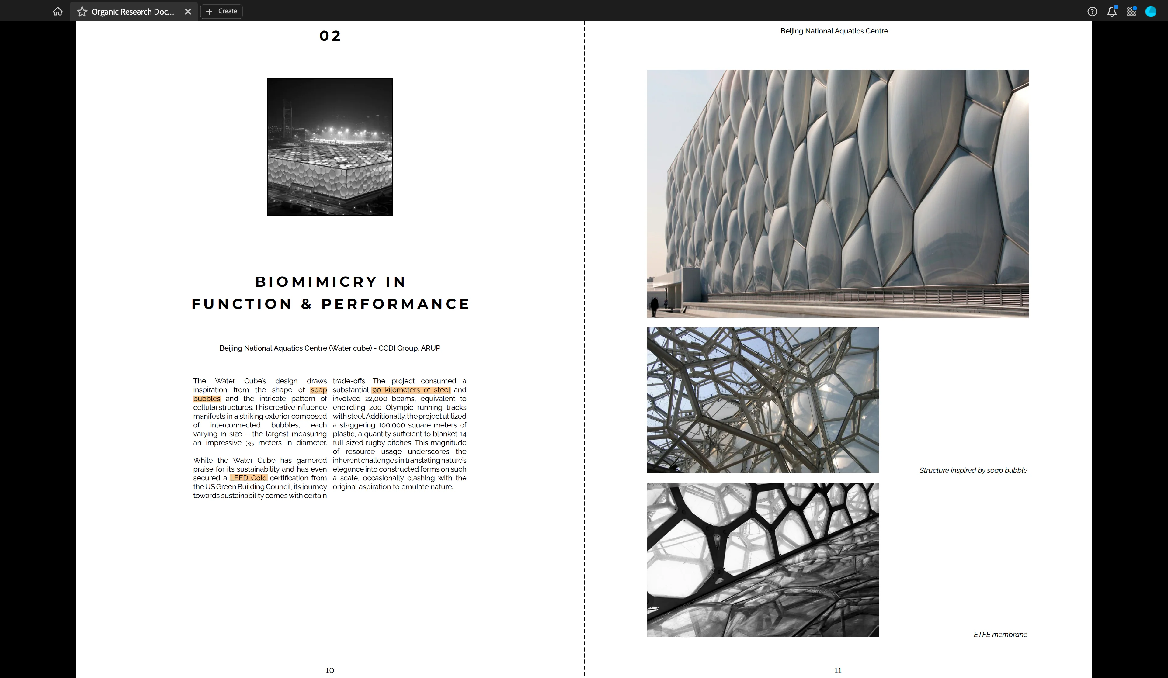 'Biomimicry: Hoax or Genius?' Research Booklet - Image 5